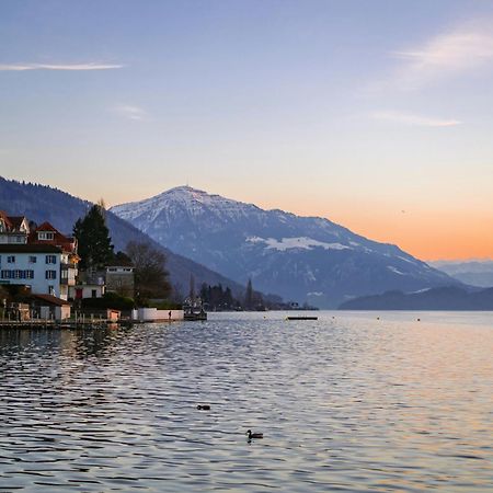 Ariser - Zug Lake View Business Apartment Bagian luar foto
